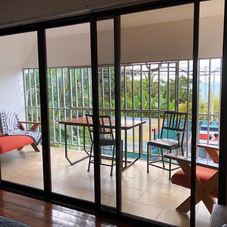 Cockatoo Studio Apartments Manuel Antonio Zewnętrze zdjęcie