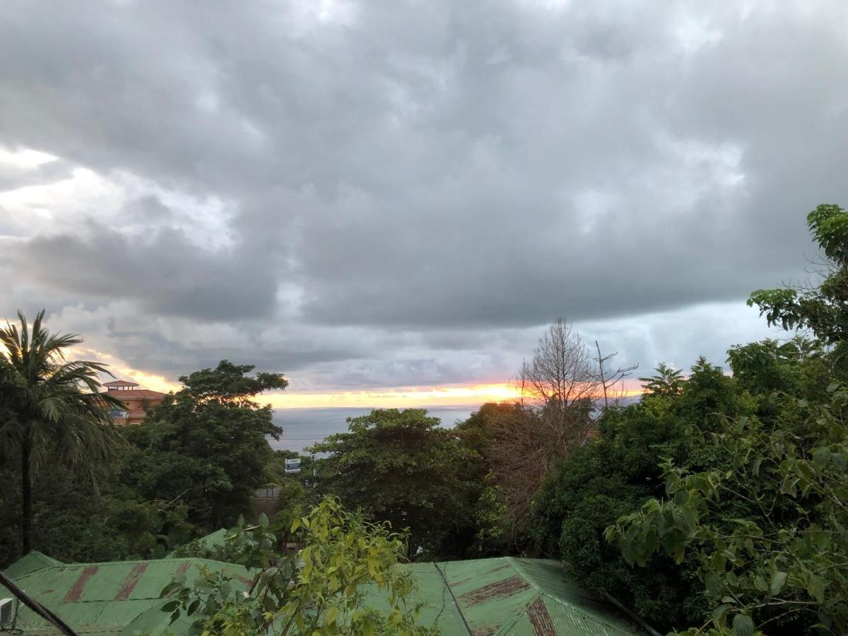 Cockatoo Studio Apartments Manuel Antonio Zewnętrze zdjęcie